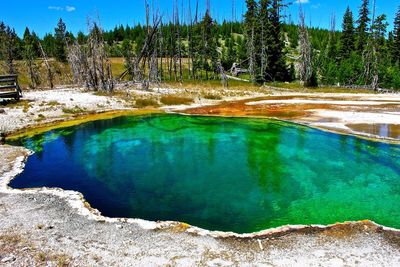 Hot spring at yellowstone national park