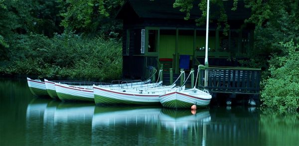 Sailboats moored in lake