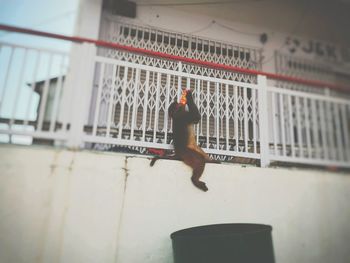 Full length of woman in bikini