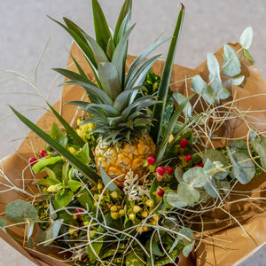 High angle view of potted plant