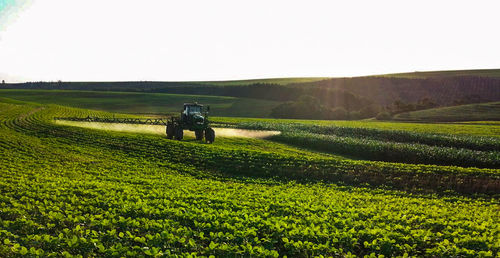 Scenic view of agricultural field against clear sky