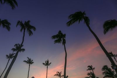 Low angle view of silhouette palm trees against sky during sunset