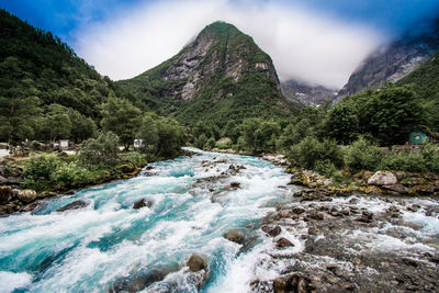 Scenic view of river stream amidst trees against sky