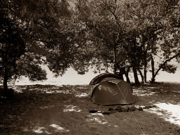 Tent by trees at beach