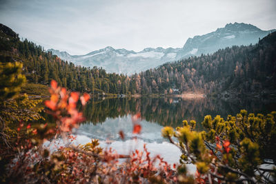 Scenic view of lake and mountains against sky