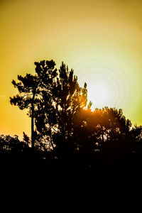 Low angle view of silhouette trees against sky during sunset