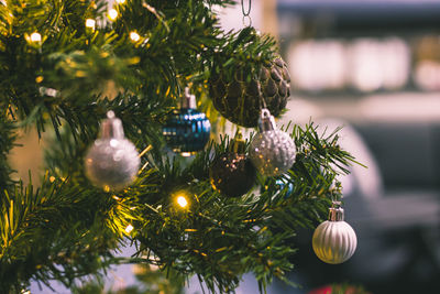 Close-up of christmas tree