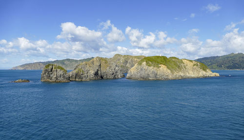 Coastal impression at queen charlotte sound in new zealand