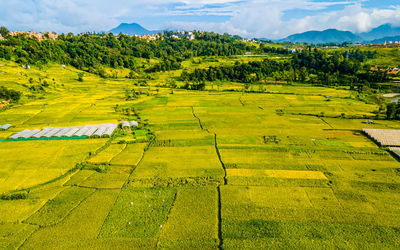 Scenic view of field against sky