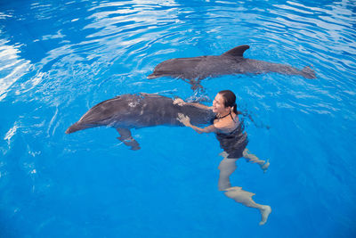 High angle view of man swimming in sea