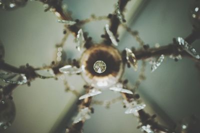 Close-up of water drop hanging from ceiling