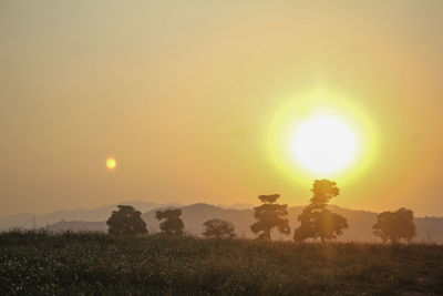 Scenic view of field against sky during sunset