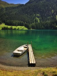 Boat moored on lake in forest