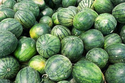 Full frame image of watermelon in market for sale