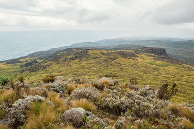 High altitude moorland on mountain  against sky in the aberdare national park, kenya