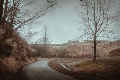 Road amidst bare trees in forest against sky