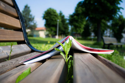 The peace of reading