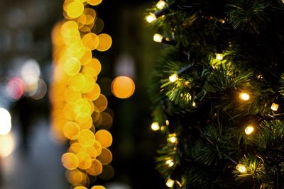 Close-up of illuminated christmas tree at night