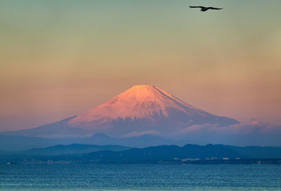 Scenic view of snowcapped mountains with bird flying against sky during sunrise