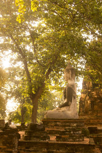 Old ruins against branches