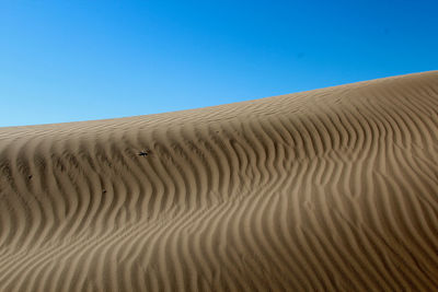 Sand dunes against clear blue sky