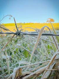 Close-up of barbed wire fence on field against sky