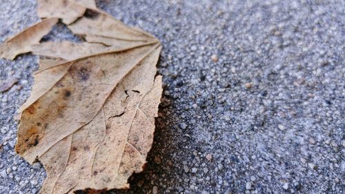 Full frame shot of concrete