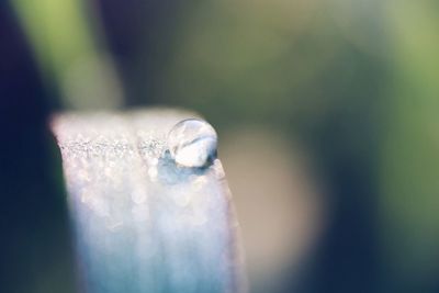 Close-up of water drop on table