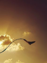 Close-up view of kite and sky during sunset