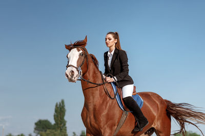 Portrait of young woman riding horse on field against clear sky