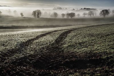 Scenic view of field against sky