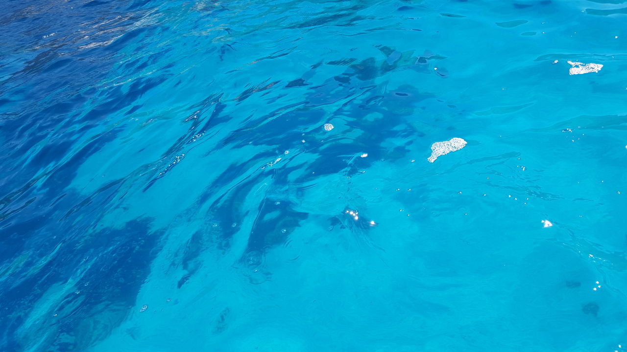 HIGH ANGLE VIEW OF SWIMMING IN SEA