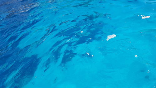 High angle view of person swimming in sea