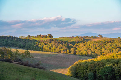 Scenic view of field against sky during autumn