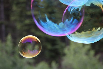 bubble