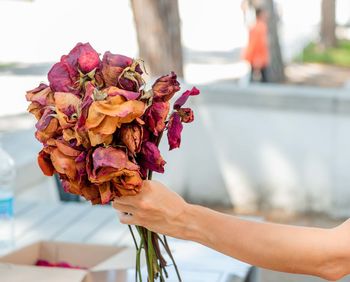 Cropped hand of woman holding dry bouquet