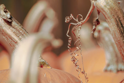Close-up of chain hanging against blurred background