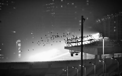 Birds flying over tianhe stadium at night