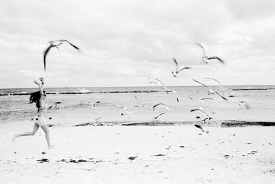 Silhouette people on beach