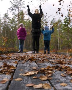 Rear view of girls walking in forest during autumn