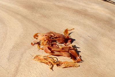 High angle view of dried crab on table