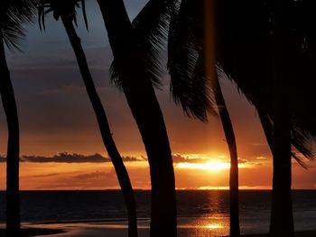 Silhouette palm trees on beach against sky during sunset