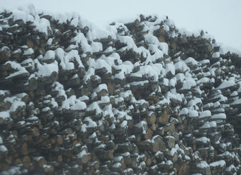 High angle view of snow on rock