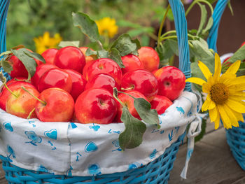 Red apples with blue basket close-up in the garden of a country house