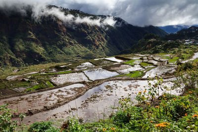 Scenic view of agricultural landscape against sky