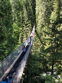 People on footbridge amidst trees in forest