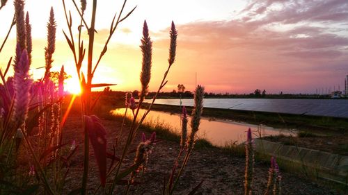 Scenic view of landscape against sky during sunset