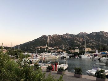 Sailboats in marina