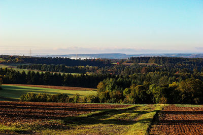 Scenic view of field against clear sky