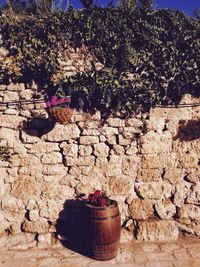 Potted plants against stone wall
